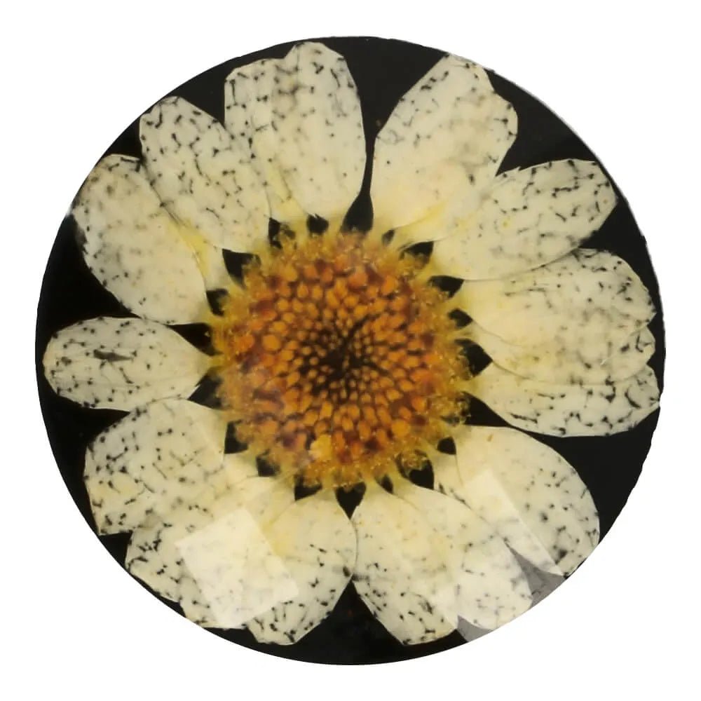 Pogas uz kājiņas 21 mm - margrietiņa