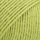 10 · couleur unie pistache