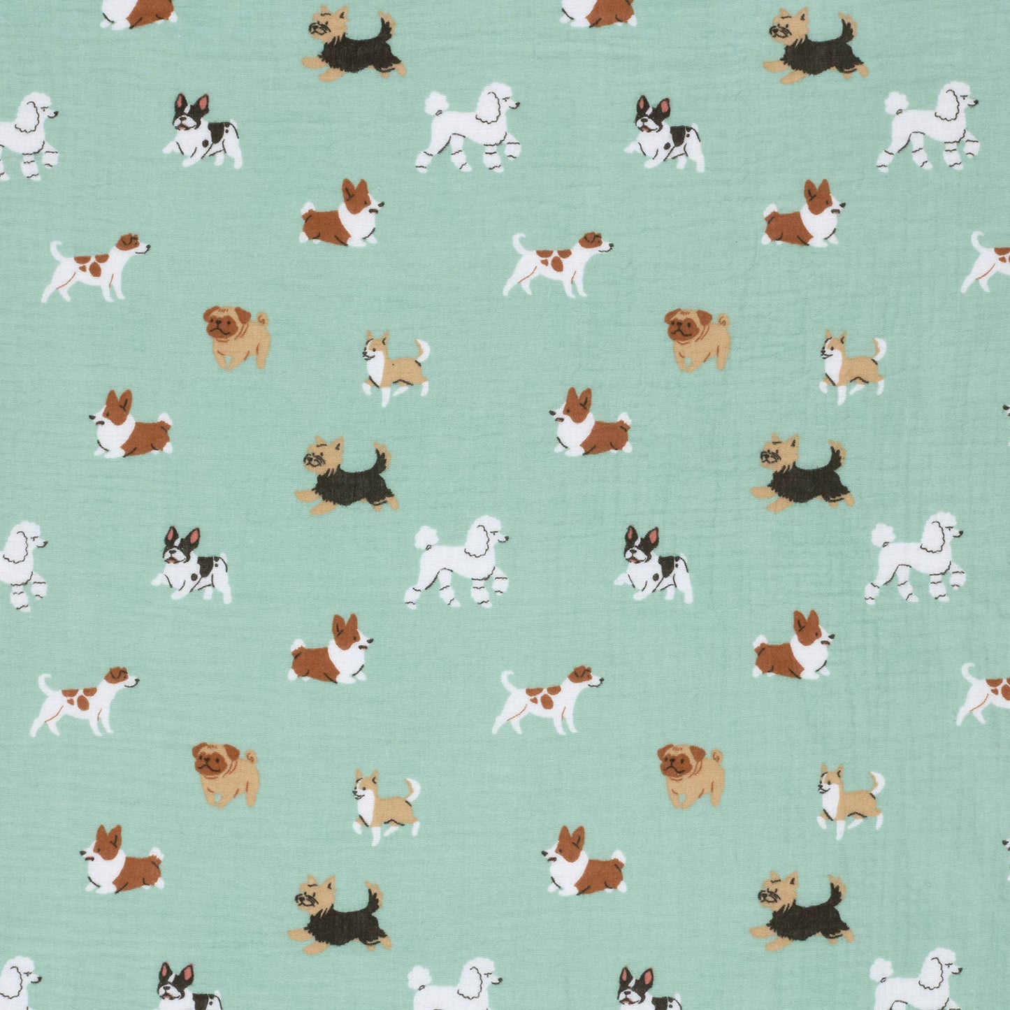 Chiens en mousseline