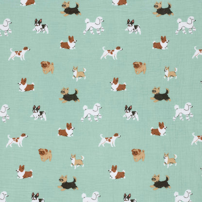 Chiens en mousseline
