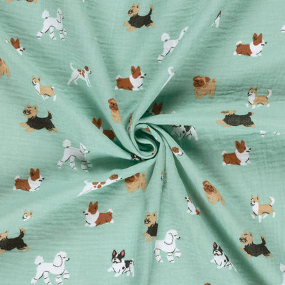 Chiens en mousseline