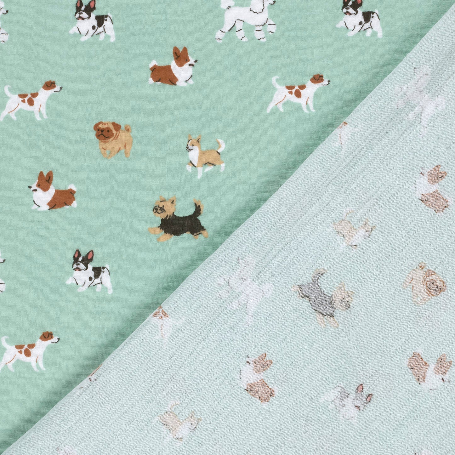 Chiens en mousseline