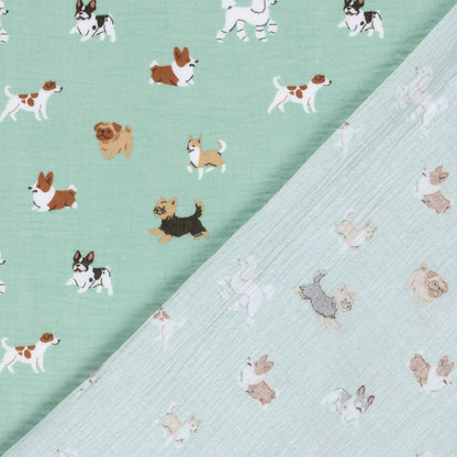 Chiens en mousseline