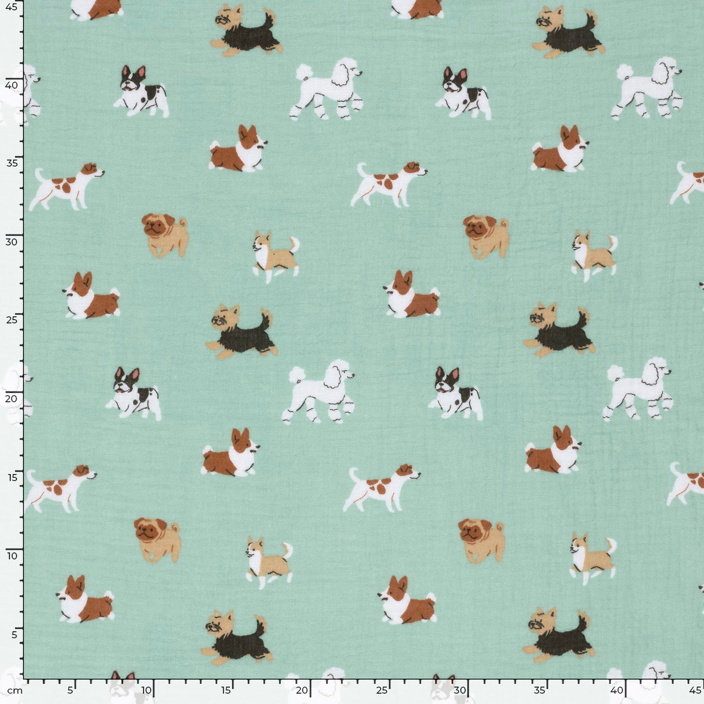 Chiens en mousseline