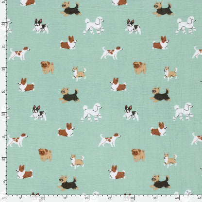 Chiens en mousseline