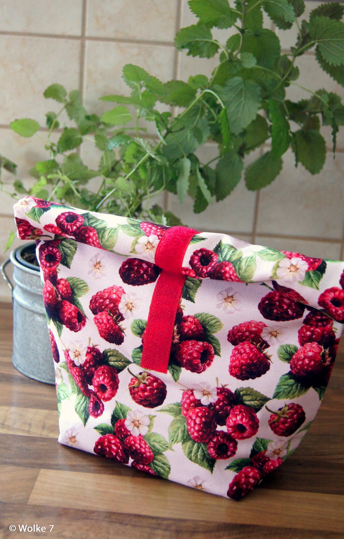 Kanvas audums-avenes 200 g/m²