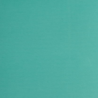 Bord de finition en tissu | manchette - menthe 240 g/m²