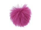 Fuchsie