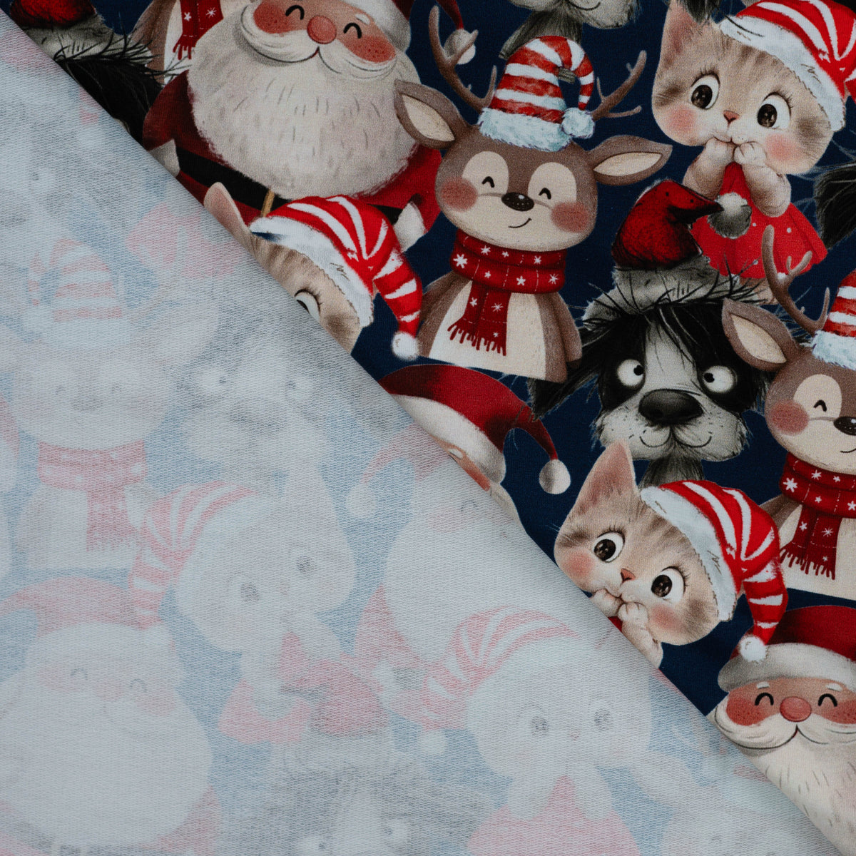 Baumwoll-Loopback-Jersey – Festliche Freunde