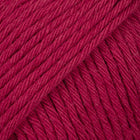 37 · bordeaux uni colour