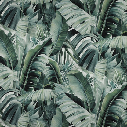 Image de toile à motifs de feuilles tropicales 225 g/m² – disponible chez Šarlotes audumi