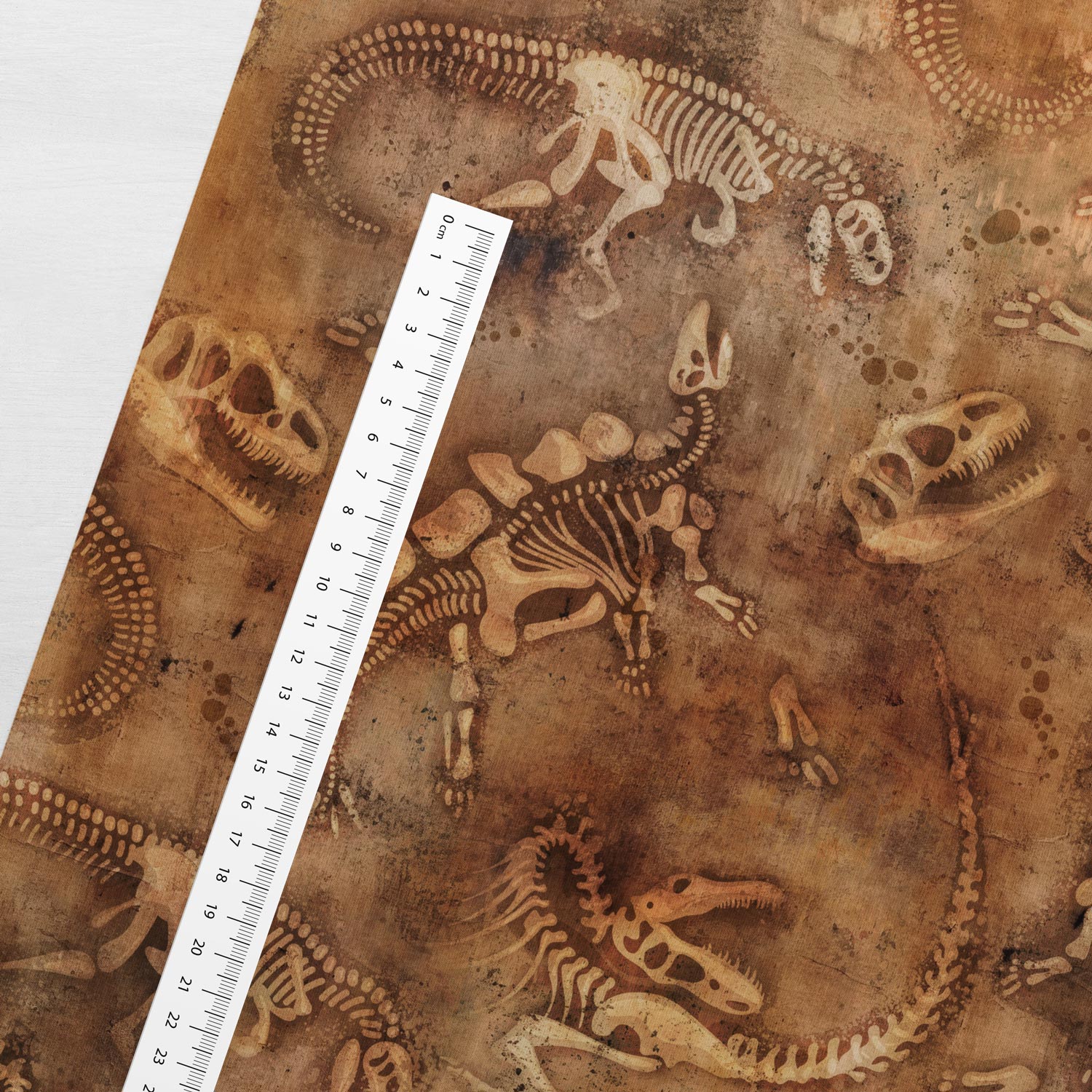 Attēls ar Kokvilnas cilpiņtrikotāža - dinozauru fosīlijas 250 g/m² – pieejams Šarlotes audumi