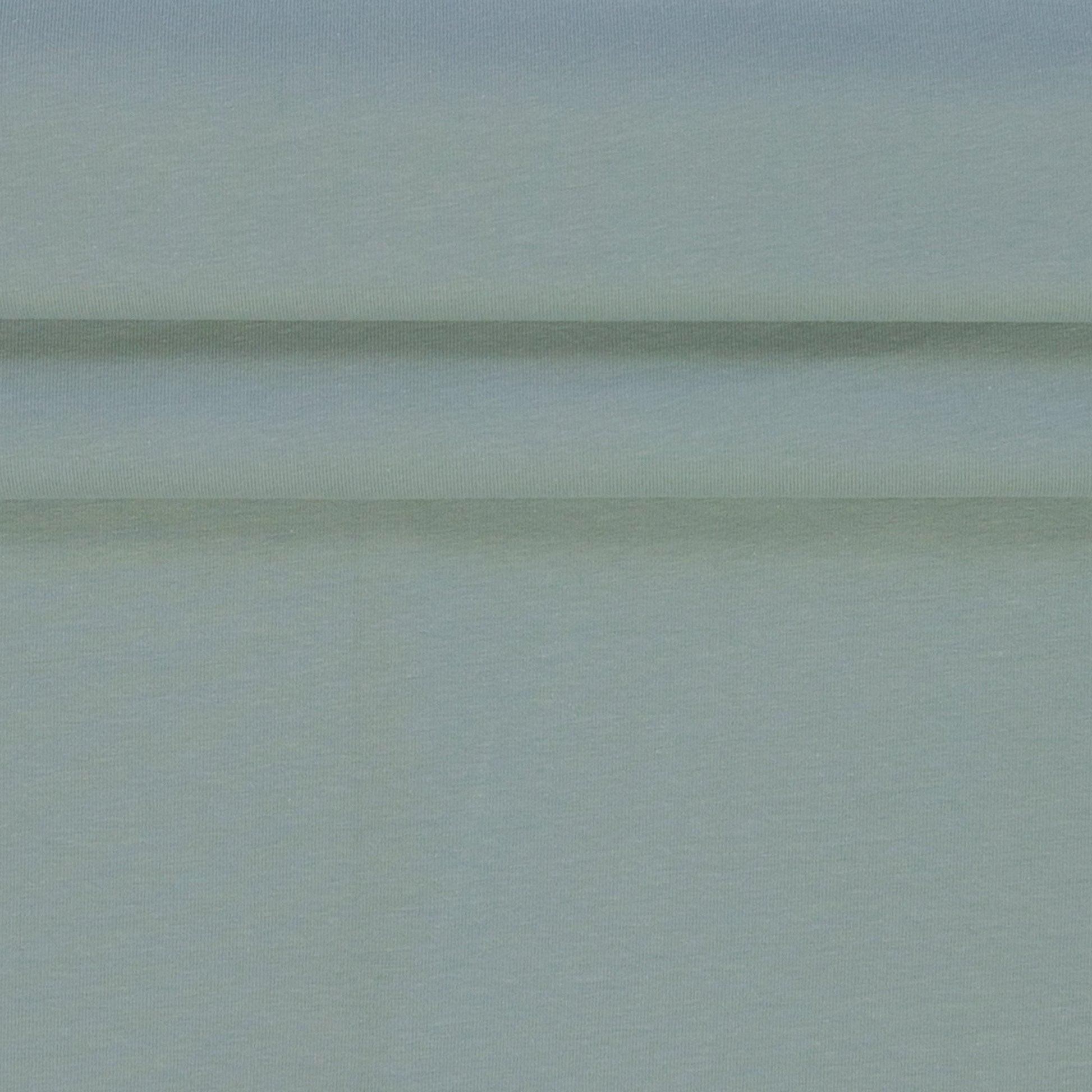 Attēls ar Kokvilnas cilpiņtrikotāža-maigs eikalipts 230 g/m² – pieejams internetā Šarlotes audumi