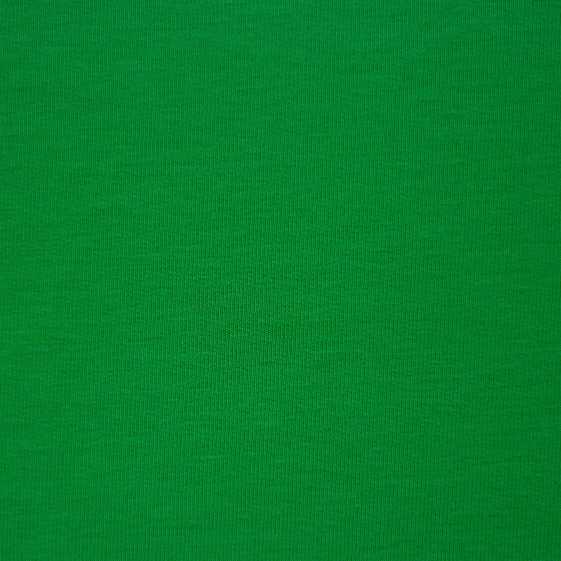 Image avec tissu éponge en coton vert gazon 230 g/m² – disponible en ligne chez Šarlotes audumi