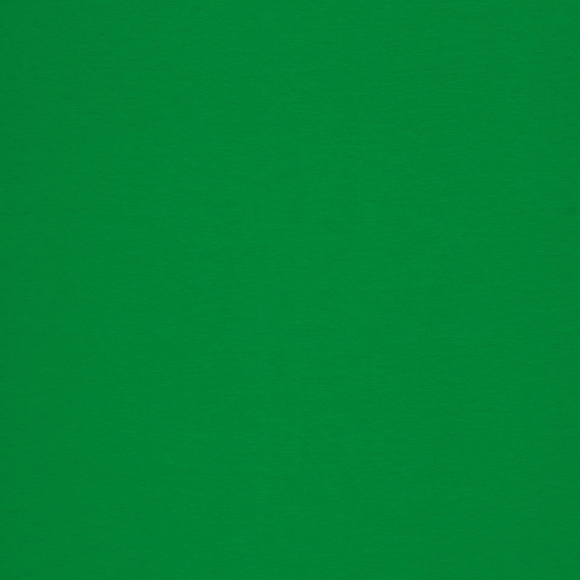 Image de tissu en maille éponge en coton vert gazon 230 g/m² – disponible en ligne chez Šarlotes audumi
