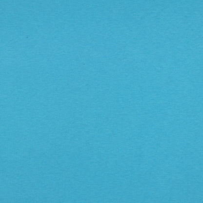Jersey de coton molletonné - turquoise 285 g/m²