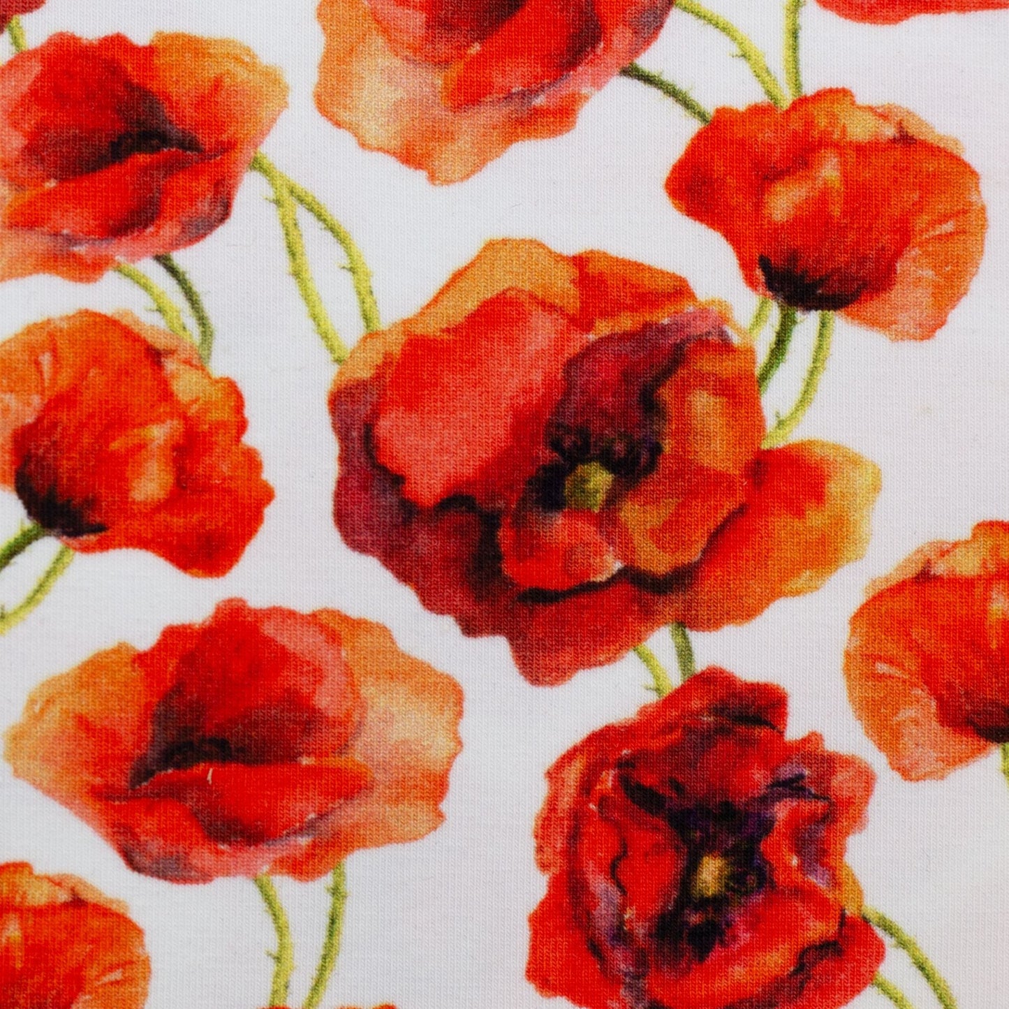 Cotton jersey with poppies 210 g/m² – available online at Šarlotes audumi