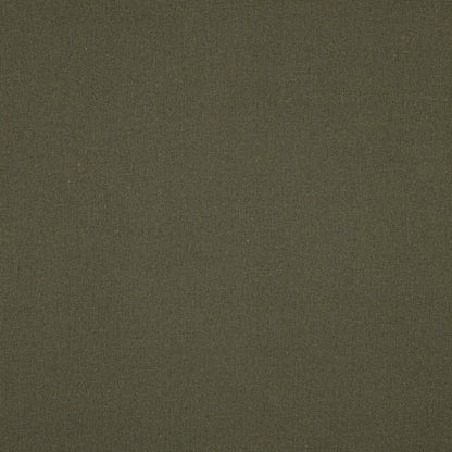 Image d’un tissu en lin et viscose, ton olive, 185 g/m² – disponible chez Šarlotes audumi