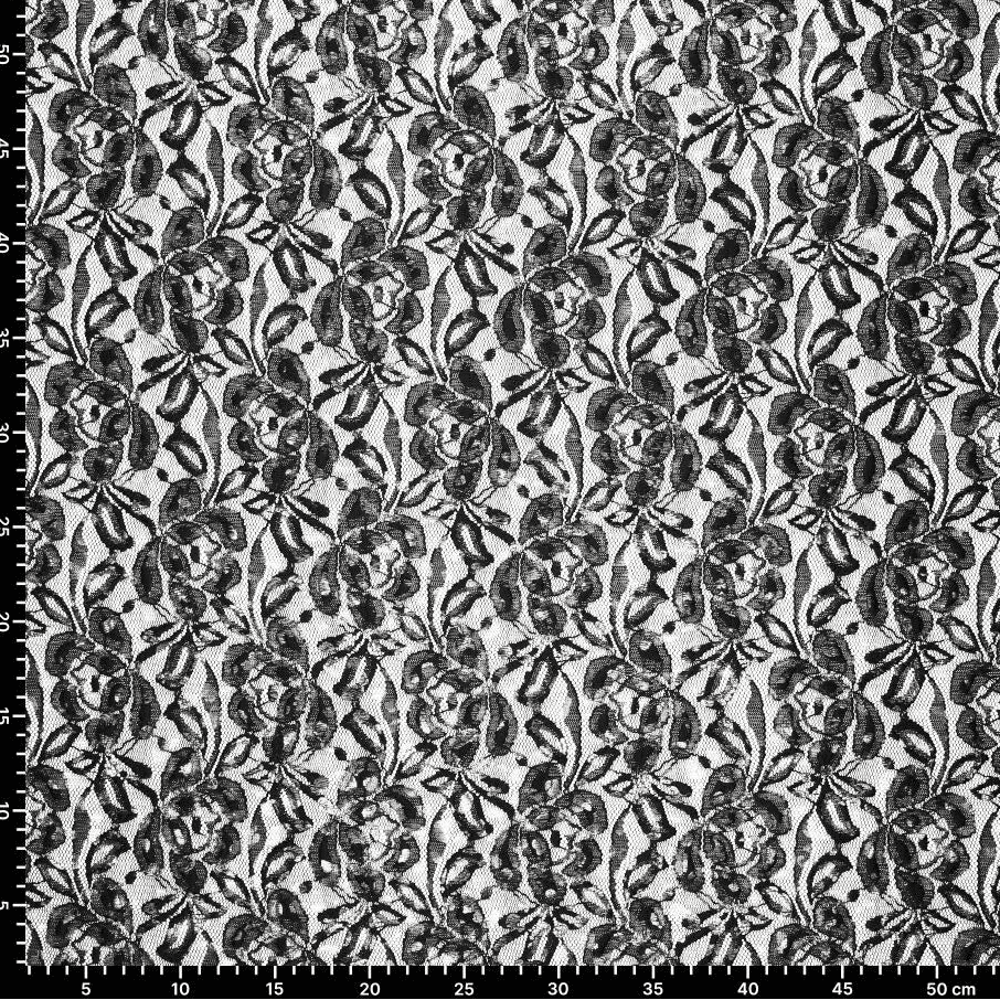 Image du tissu en dentelle “Lauren Foil Lace” – noir 140 g/m² – disponible chez Šarlotes audumi