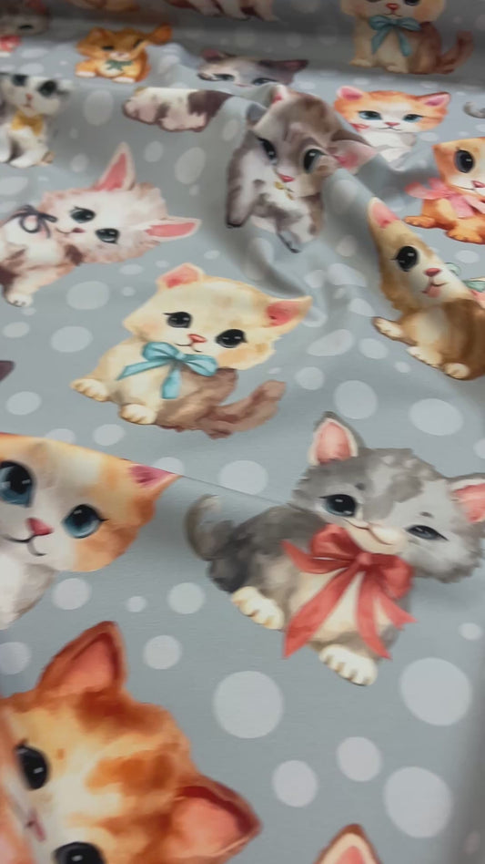 Softshell fabric - cats 300 g/m²